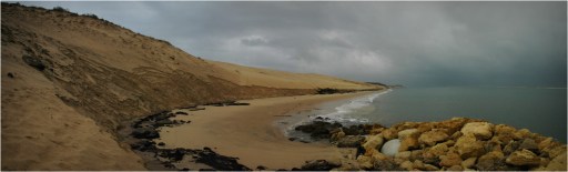BLOG-DSC_1582-83-84-dune du Pyla et rivages après intempéries