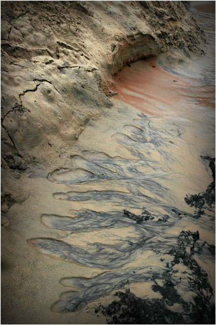 BLOG-DSC_1593-érosion base dune du Pyla