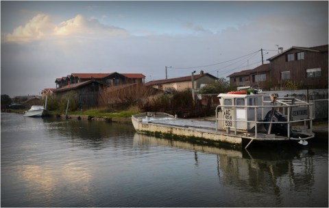 BLOG-DSC_1479-plate Centaure sur canalot port la Teste