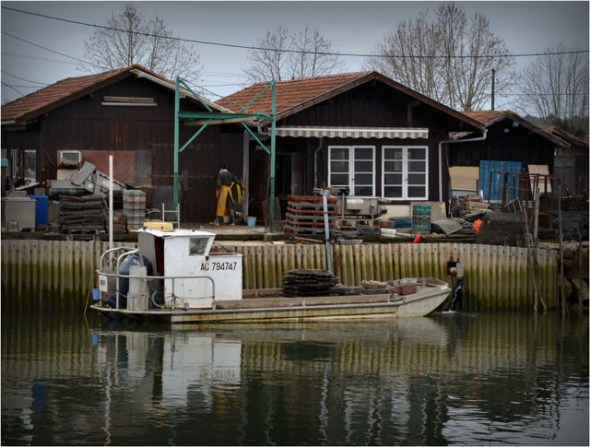 BLOG-DSC_02340-plate et cabanes port la Teste