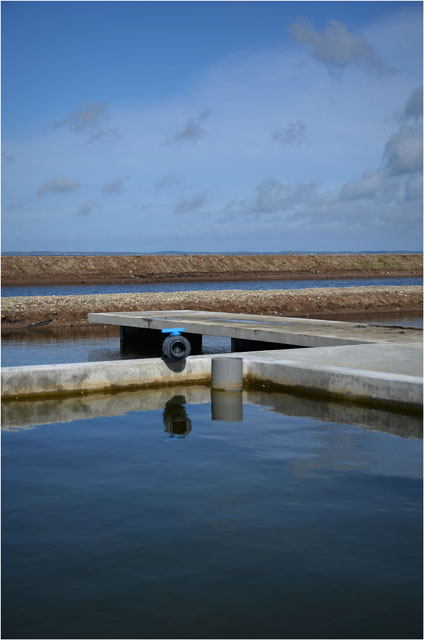 BLOG-DSC_03900-nouveaux bassins affinage Meyran Ouest