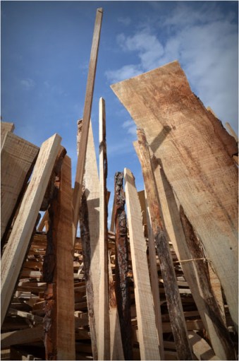 BLOG-DSC_06299-bois feu St Jean