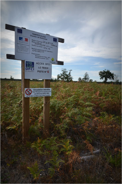 BLOG-DSC_06749-chantier de nettoyage tempête Klaus Sylvabelle le Teich