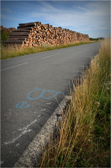 BLOG-DSC_06757-route Sylvabelle le Teich