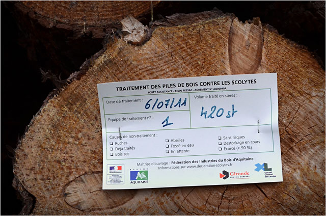 BLOG-DSC_06760-traitement contre scolytes Sylvabelle le Teich