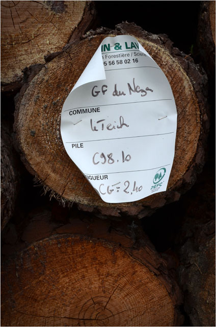 BLOG-DSC_06766-exploitation forestière bois Sylvabelle le Teich