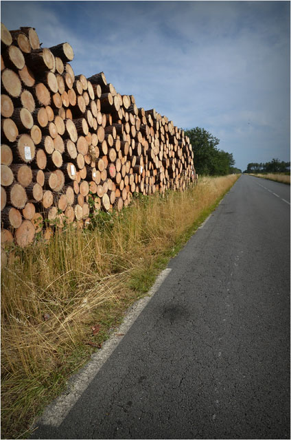 BLOG-DSC_06796-route Sylvabelle le Teich