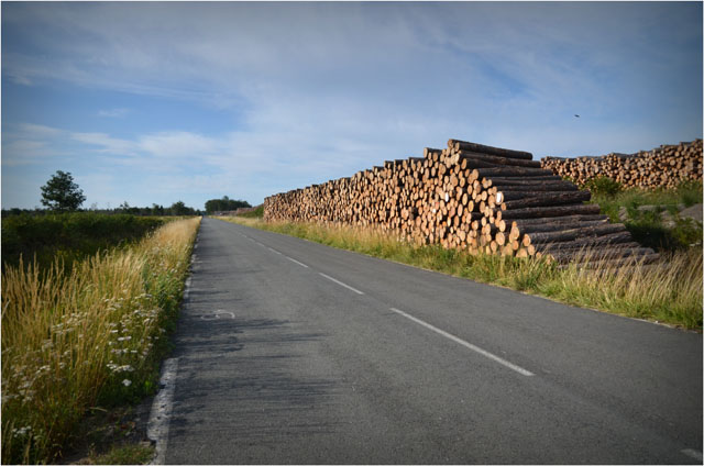 BLOG-DSC_06818-route Sylvabelle le Teich