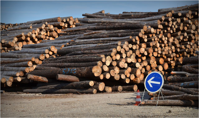 BLOG-DSC_06844-aire stockage bois Sylvabelle le Teich