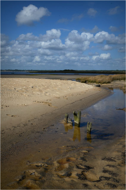 BLOG-DSC_07288-rivages le Teich