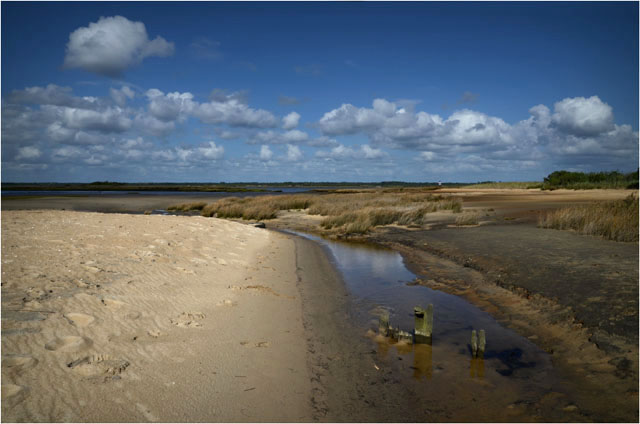 BLOG-DSC_07289-rivages du Teich