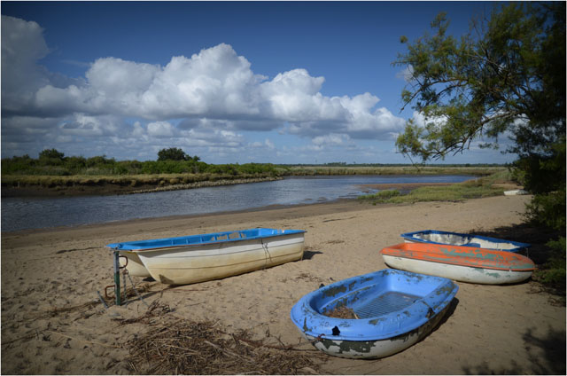 BLOG-DSC_07298-annexes sur rivages Leyre le Teich