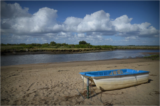 BLOG-DSC_07299-annexe bleue rivages Leyre