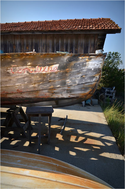 BLOG-DSC_07586-poupe pinasse Coralline et cabane 2