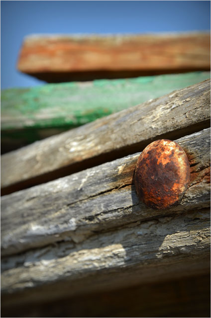 BLOG-DSC_07593-coque et planches pinasse Coralline