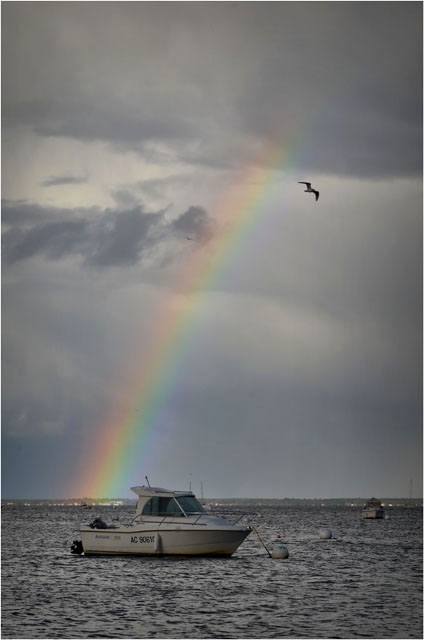 BLOG-DSC_09304-bateau arc en ciel et mouette pointe Aiguillon Arcachon