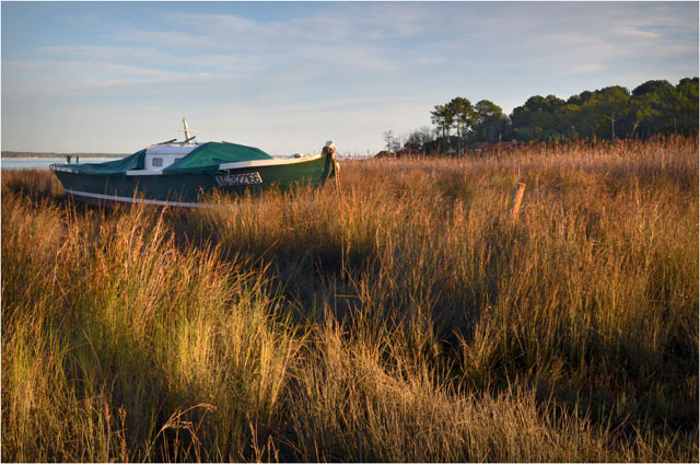 BLOG-DSC_09650-pinasse Jane de Boy