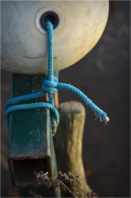 BLOG-DSC_09717-noeud et bouée