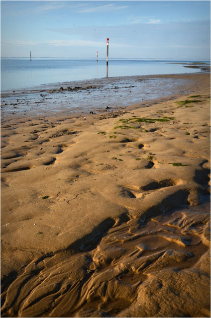 BLOG-DSC_09825-rivages port Canal