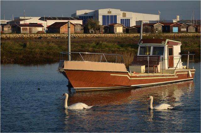 BLOG-DSC_09861-hangar Couach, cabanes Larros, bateau et cygnes
