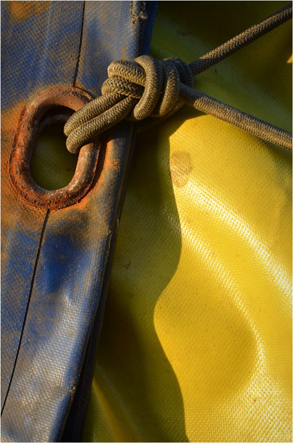 BLOG-DSC_09892-bache bleu jaune oeillet sandow