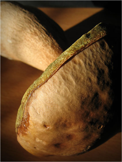 BLOG-IMG_1876-chapeau cèpe