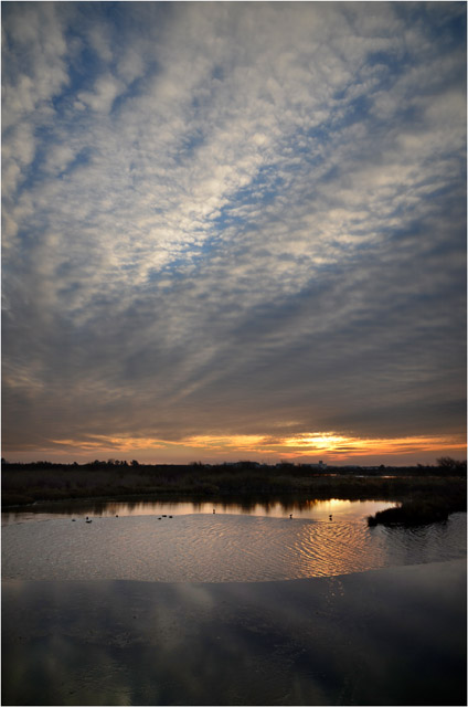 BLOG-DSC_11769-plan d'eau gelé et soleil couchant boucle Gujan