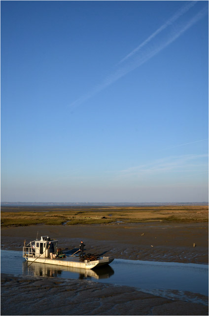 BLOG-DSC_12954-retour plate port Barbotière marée basse