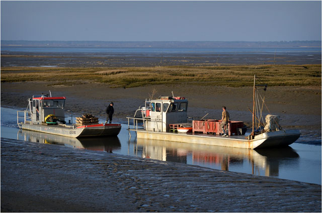 BLOG-DSC_12959-dépassement plates retour port Barbotière marée basse