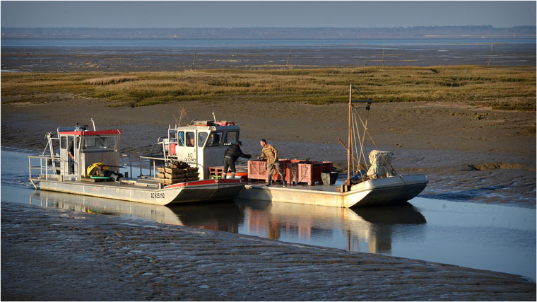 BLOG-DSC_12960-poignée de main dépassement plates Barbotière marée basse