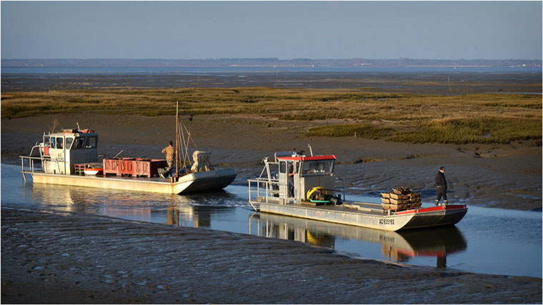 BLOG-DSC_12961-dépassement plates retour Barbotière marée basse