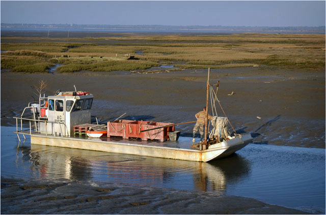 BLOG-DSC_12968-plate ostréicole retour port Barbotière