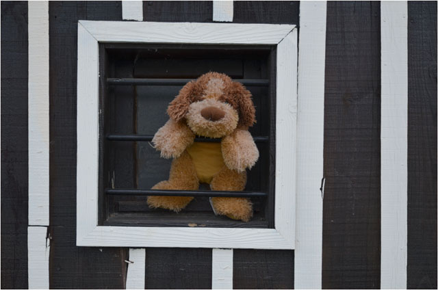 BLOG-DSC_14731-peluche lucarne cabane