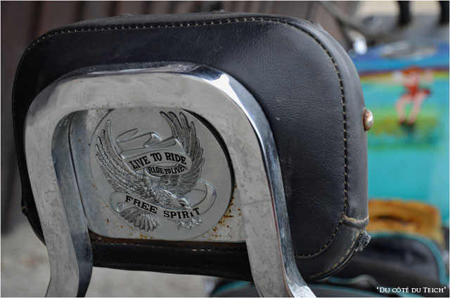 BLOG-DSC_16099-live to ride - ride to live - free spirit