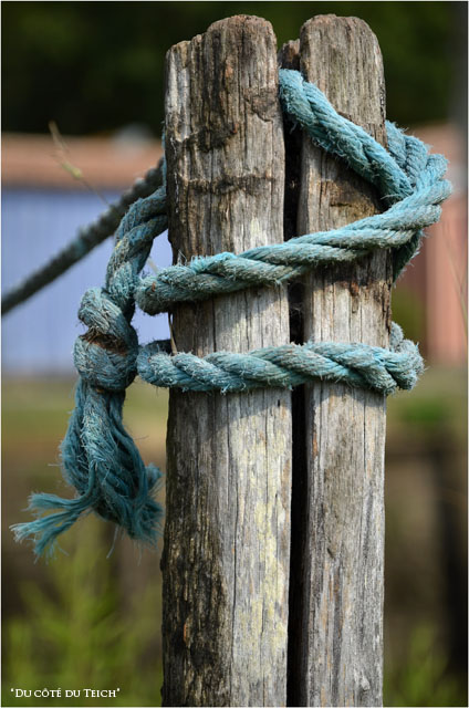 BLOG-DSC_16227-bouts bleu piquet bois et cabanes petit port Biganos