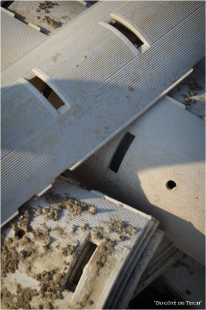 BLOG-DSC_16324-collecteurs tuiles plastique