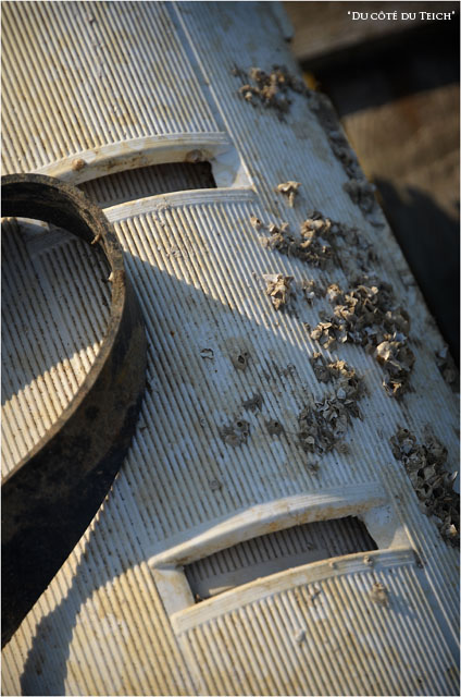 BLOG-DSC_16326-collecteurs tuiles plastique