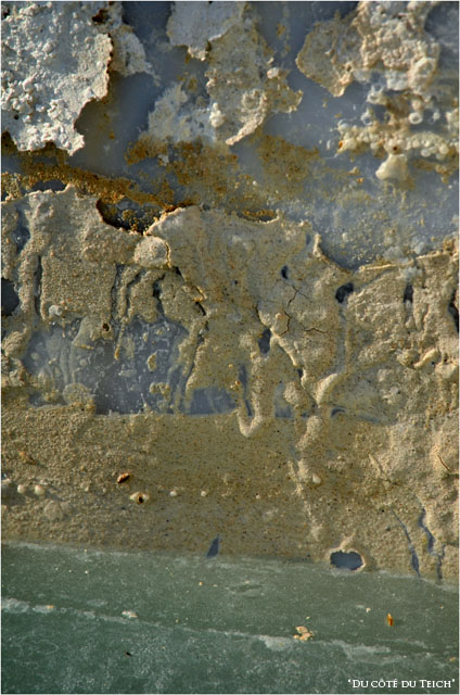 BLOG-DSC_16331-intérieur cuve de chaulage