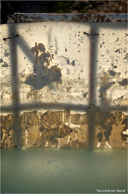 BLOG-DSC_16332-intérieur cuve de chaulage