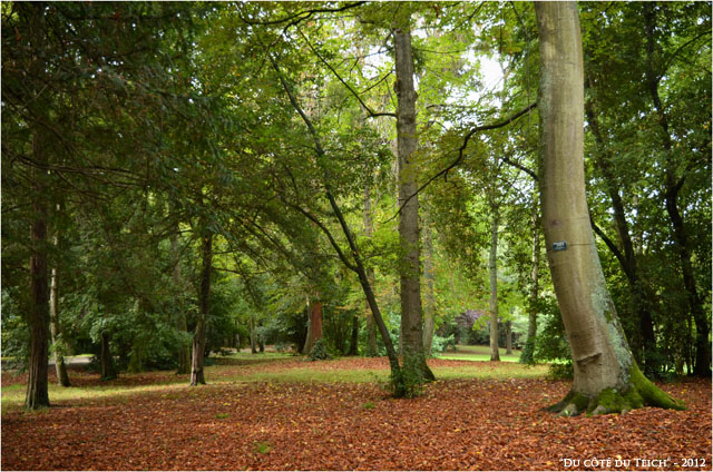 BLOG-DSC_17045-automne parc de Bourran Mérignac