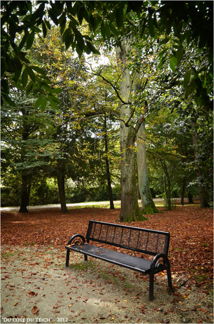 BLOG-DSC_17046-banc automne parc de Bourran Mérignac