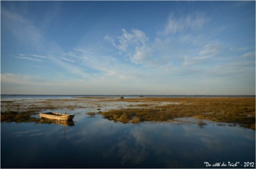BLOG-DSC_17428-barque rivages Gujan marée montante