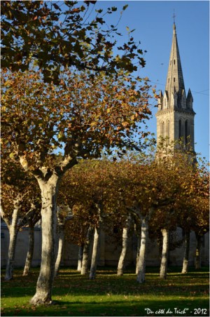 BLOG-DSC_17445-platanes et église Audenge