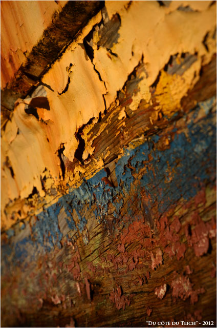 BLOG-DSC_17530-peinture écaillée vieux chaland ostréicole