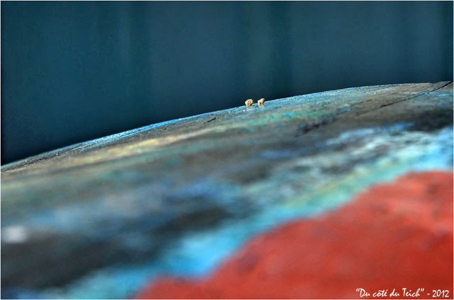 BLOG-DSC_18028-petits graviers patin remorque bateau et porte cabane 2