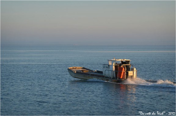 BLOG-DSC_18137-plate ostréicole Défi rivages port Larros matin
