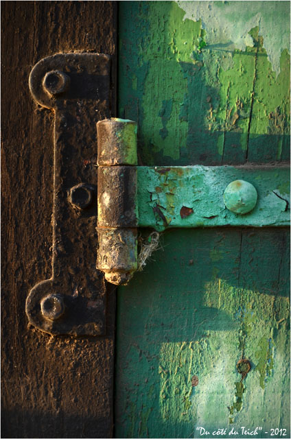 BLOG-DSC_18206-gond porte verte cabane port des Tuiles Biganos