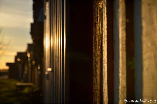 BLOG-DSC_18208-lumière du soir bardages cabanes port des Tuiles Biganos