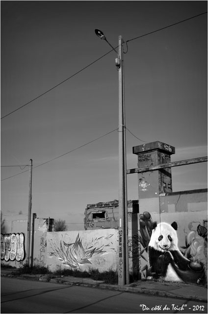 BLOG-DSC_18262-tag panda et réverbère Bacalan bassins à flot N&B 2