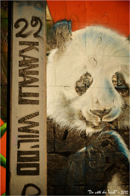 BLOG-DSC_18281-22 Kanalu Will'oo et tag panda Bacalan